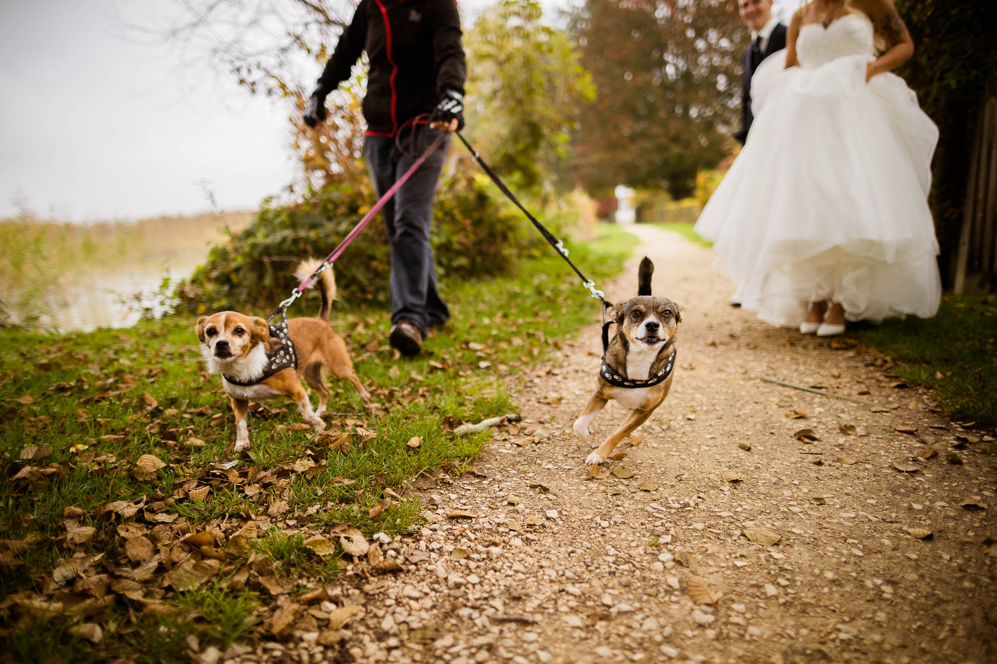 Export x3 1DX26241 Hochzeit 2019 Tatjana und Hermann